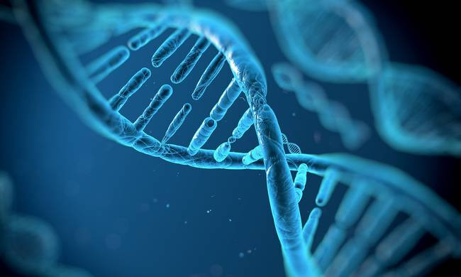 Βιολόγοι έτοιμοι να «διαβάσουν» το DNA όλης της ζωής πάνω στη Γη